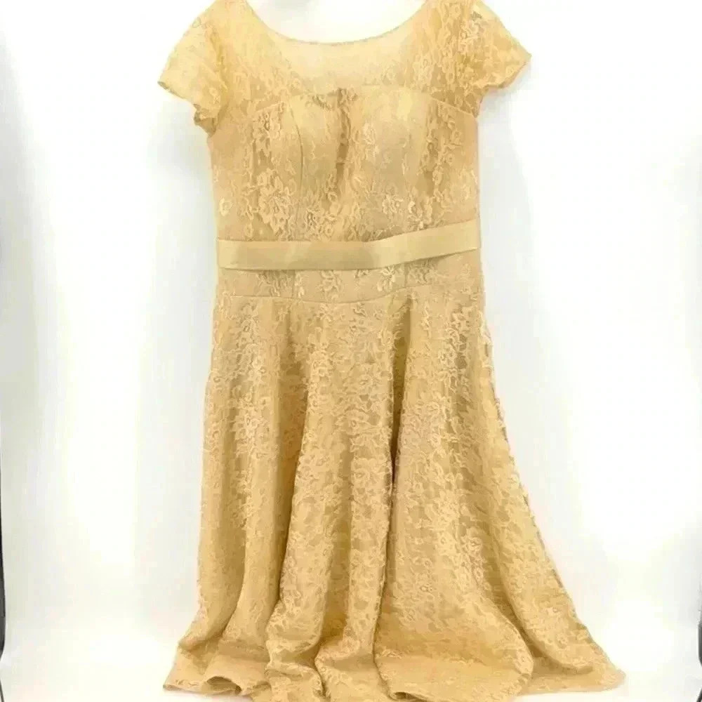 MOCK NECK LACE A LINE  DRESS